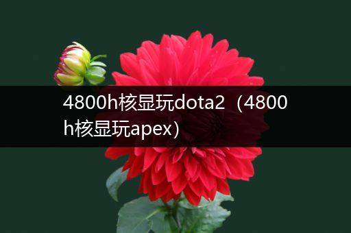 4800h核显玩dota2（4800h核显玩apex）