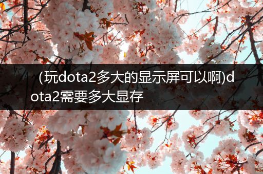 （玩dota2多大的显示屏可以啊)dota2需要多大显存