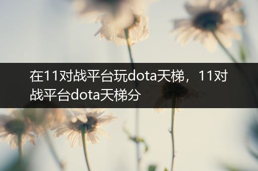 在11对战平台玩dota天梯，11对战平台dota天梯分