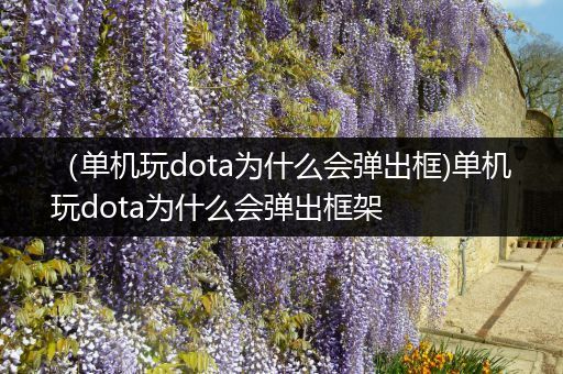 （单机玩dota为什么会弹出框)单机玩dota为什么会弹出框架