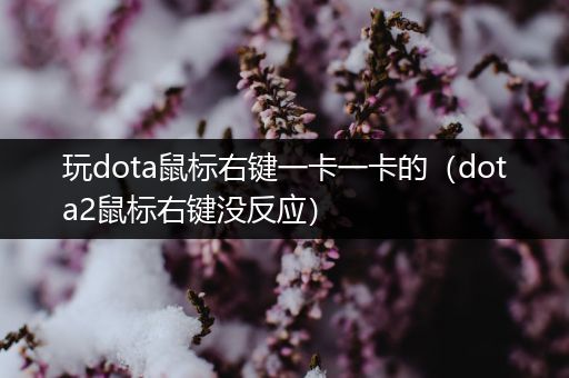 玩dota鼠标右键一卡一卡的（dota2鼠标右键没反应）