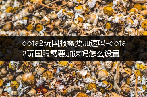 dota2玩国服需要加速吗-dota2玩国服需要加速吗怎么设置