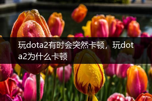 玩dota2有时会突然卡顿，玩dota2为什么卡顿
