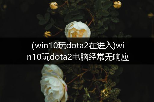 （win10玩dota2在进入)win10玩dota2电脑经常无响应