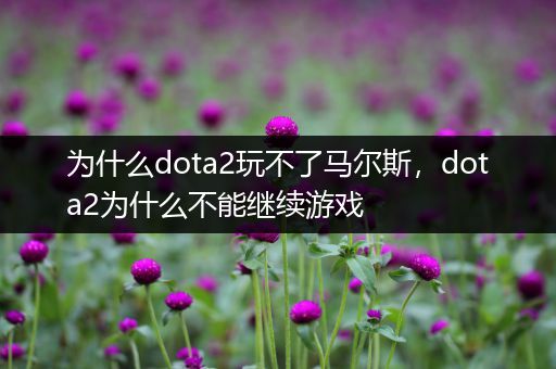 为什么dota2玩不了马尔斯，dota2为什么不能继续游戏