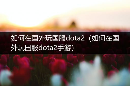 如何在国外玩国服dota2（如何在国外玩国服dota2手游）