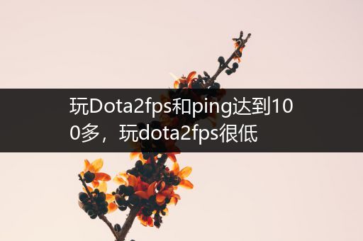 玩Dota2fps和ping达到100多，玩dota2fps很低