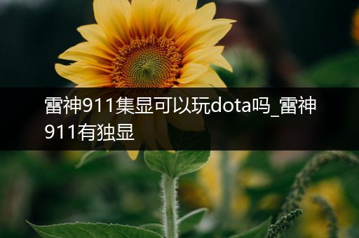 雷神911集显可以玩dota吗_雷神911有独显