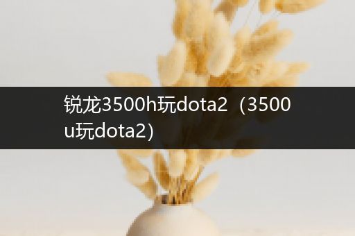锐龙3500h玩dota2（3500u玩dota2）