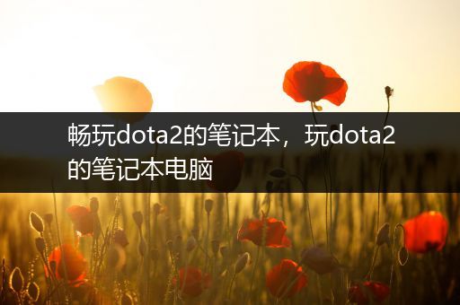 畅玩dota2的笔记本，玩dota2的笔记本电脑