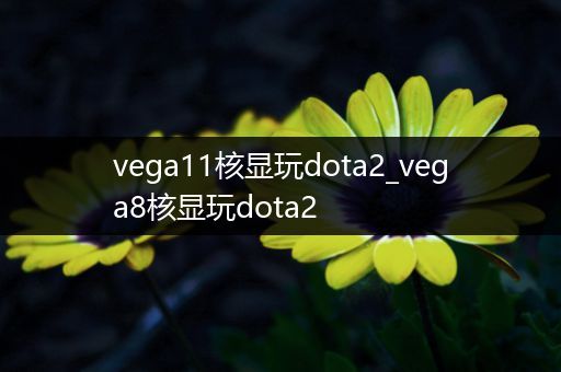 vega11核显玩dota2_vega8核显玩dota2