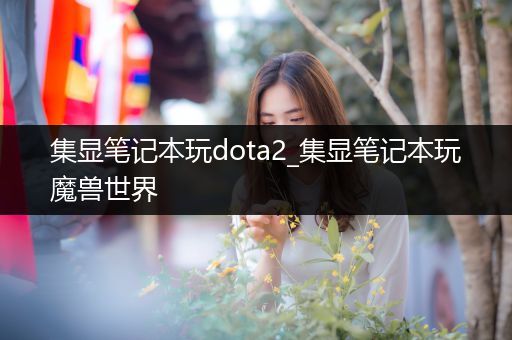 集显笔记本玩dota2_集显笔记本玩魔兽世界