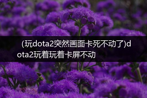 （玩dota2突然画面卡死不动了)dota2玩着玩着卡屏不动