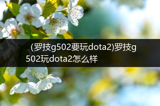 （罗技g502要玩dota2)罗技g502玩dota2怎么样