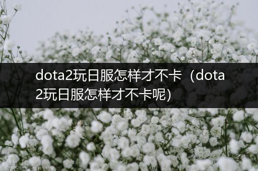 dota2玩日服怎样才不卡（dota2玩日服怎样才不卡呢）