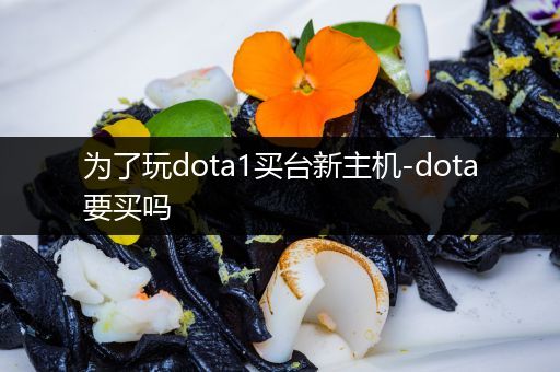 为了玩dota1买台新主机-dota要买吗