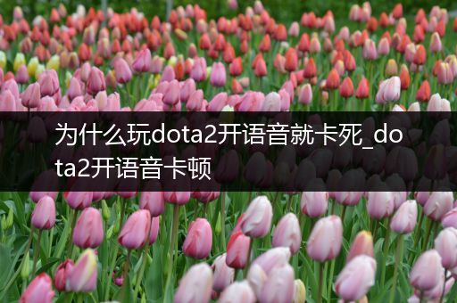 为什么玩dota2开语音就卡死_dota2开语音卡顿