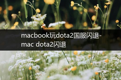 macbook玩dota2国服闪退-mac dota2闪退