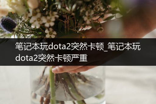 笔记本玩dota2突然卡顿_笔记本玩dota2突然卡顿严重