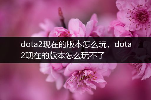 dota2现在的版本怎么玩，dota2现在的版本怎么玩不了