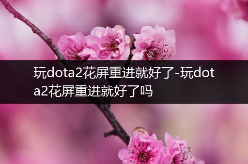 玩dota2花屏重进就好了-玩dota2花屏重进就好了吗