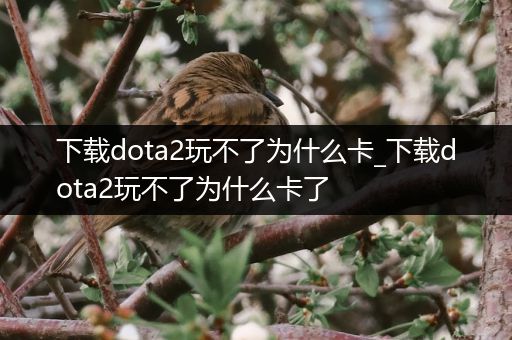 下载dota2玩不了为什么卡_下载dota2玩不了为什么卡了