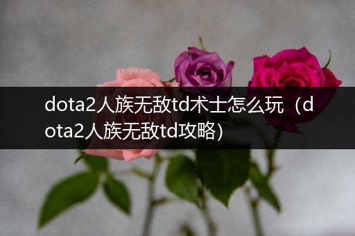 dota2人族无敌td术士怎么玩（dota2人族无敌td攻略）