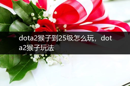 dota2猴子到25级怎么玩，dota2猴子玩法