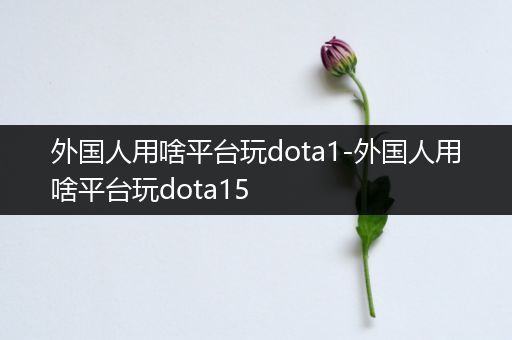 外国人用啥平台玩dota1-外国人用啥平台玩dota15