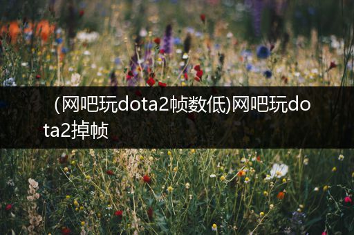 （网吧玩dota2帧数低)网吧玩dota2掉帧