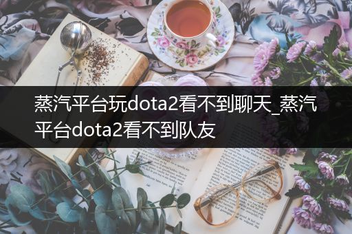 蒸汽平台玩dota2看不到聊天_蒸汽平台dota2看不到队友