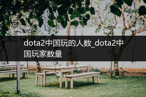 dota2中国玩的人数_dota2中国玩家数量