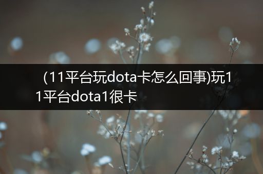 （11平台玩dota卡怎么回事)玩11平台dota1很卡