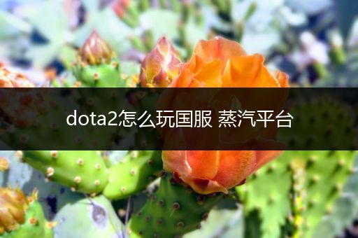 dota2怎么玩国服 蒸汽平台