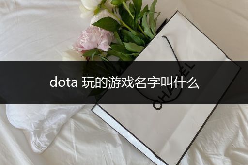 dota 玩的游戏名字叫什么