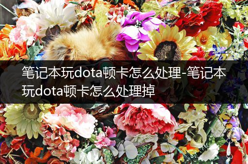 笔记本玩dota顿卡怎么处理-笔记本玩dota顿卡怎么处理掉