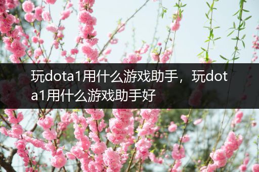 玩dota1用什么游戏助手，玩dota1用什么游戏助手好