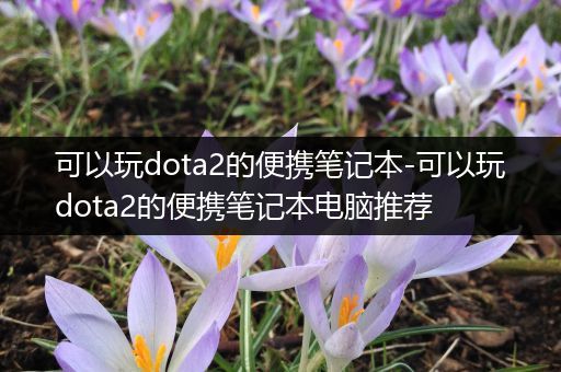 可以玩dota2的便携笔记本-可以玩dota2的便携笔记本电脑推荐