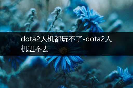 dota2人机都玩不了-dota2人机进不去
