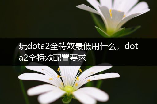 玩dota2全特效最低用什么，dota2全特效配置要求