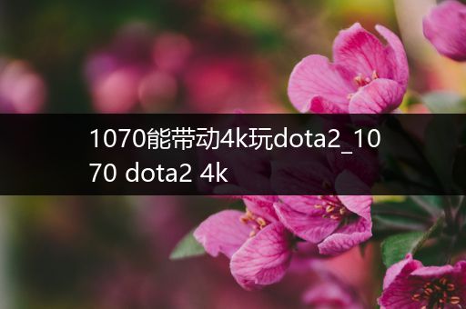 1070能带动4k玩dota2_1070 dota2 4k