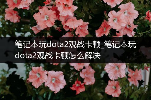 笔记本玩dota2观战卡顿_笔记本玩dota2观战卡顿怎么解决