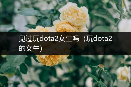 见过玩dota2女生吗（玩dota2的女生）