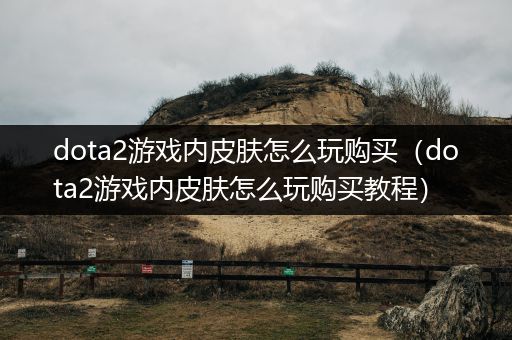 dota2游戏内皮肤怎么玩购买（dota2游戏内皮肤怎么玩购买教程）