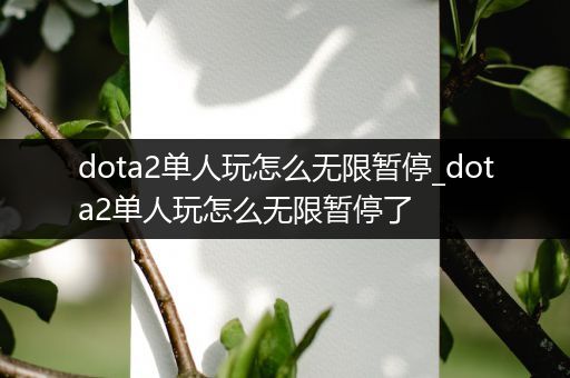 dota2单人玩怎么无限暂停_dota2单人玩怎么无限暂停了