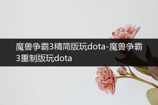 魔兽争霸3精简版玩dota-魔兽争霸3重制版玩dota