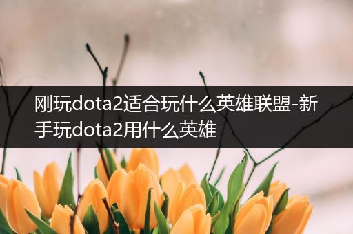 刚玩dota2适合玩什么英雄联盟-新手玩dota2用什么英雄