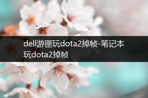 dell游匣玩dota2掉帧-笔记本玩dota2掉帧