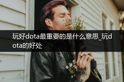 玩好dota最重要的是什么意思_玩dota的好处