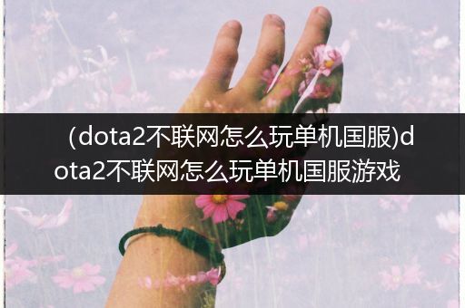 （dota2不联网怎么玩单机国服)dota2不联网怎么玩单机国服游戏
